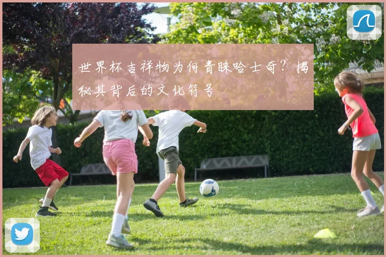 世界杯吉祥物为何青睐哈士奇？揭秘其背后的文化符号