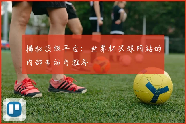 揭秘顶级平台:世界杯买球网站的内部专访与推荐